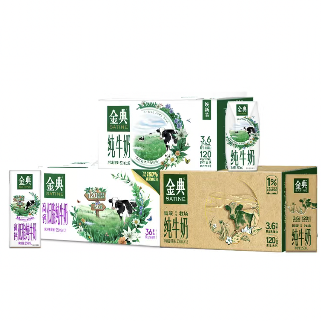 金典纯牛奶250ml×2箱