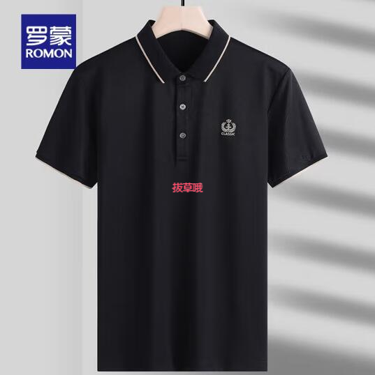 46.8元包邮！罗蒙男士夏季新款休闲T恤 多款可选