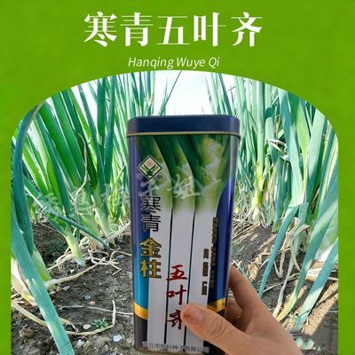 PDD热销产品汇总20点档更新2026/09/04