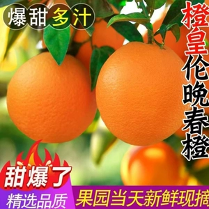 正宗伦晚脐橙新鲜橙子9斤当季水果整箱包邮秭归果冻甜橙大现摘
