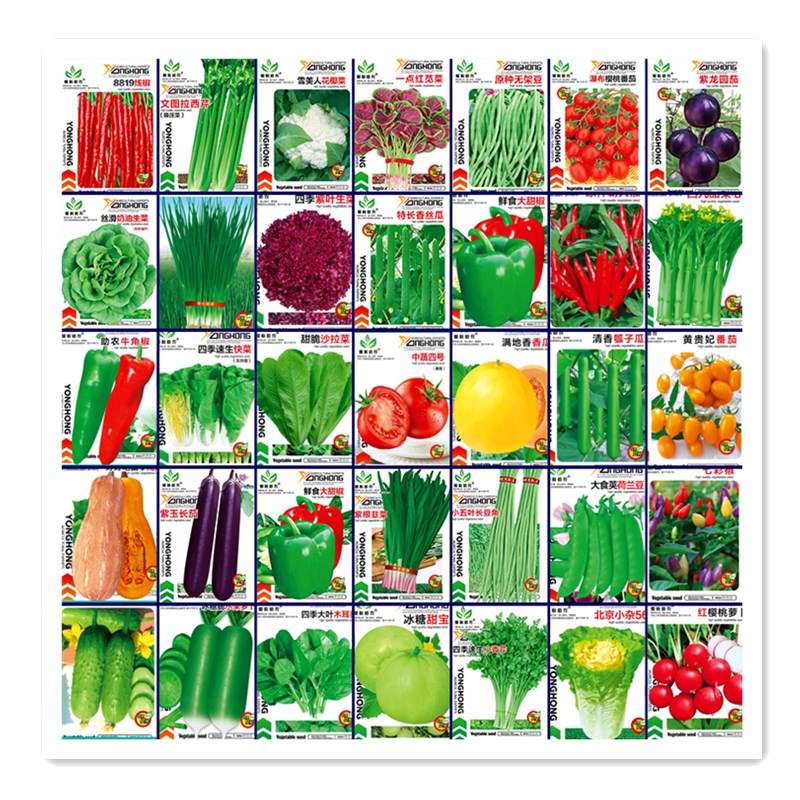 【淘工厂】四季可种蔬菜种子大全