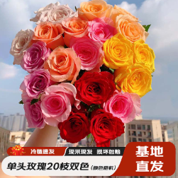 19.8元包邮！简势云南鲜花 玫瑰20枝