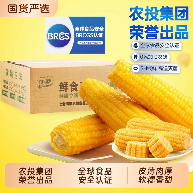农投黄糯玉米220-260g*8棒