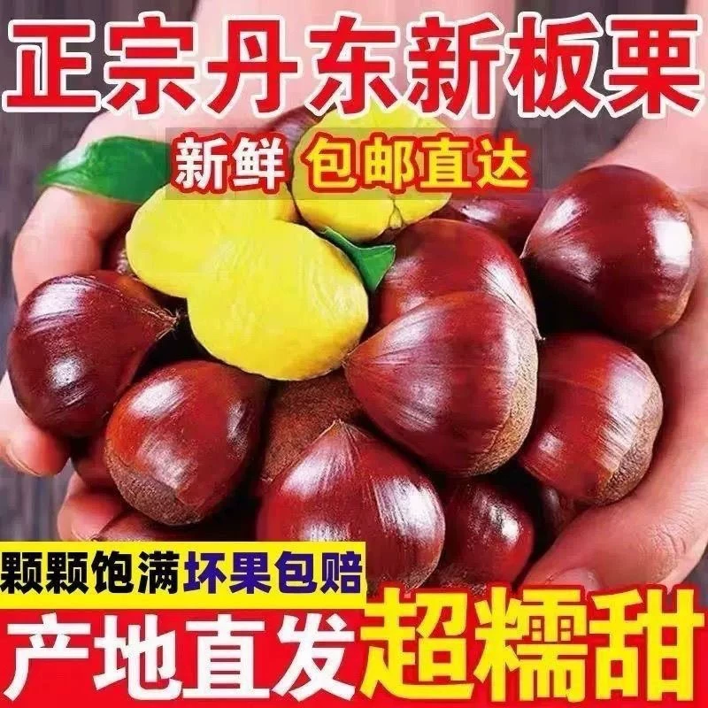 丹东板栗5斤