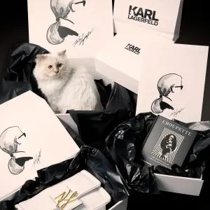 Karl Lagerfeld英国网站夏季大促低至5折