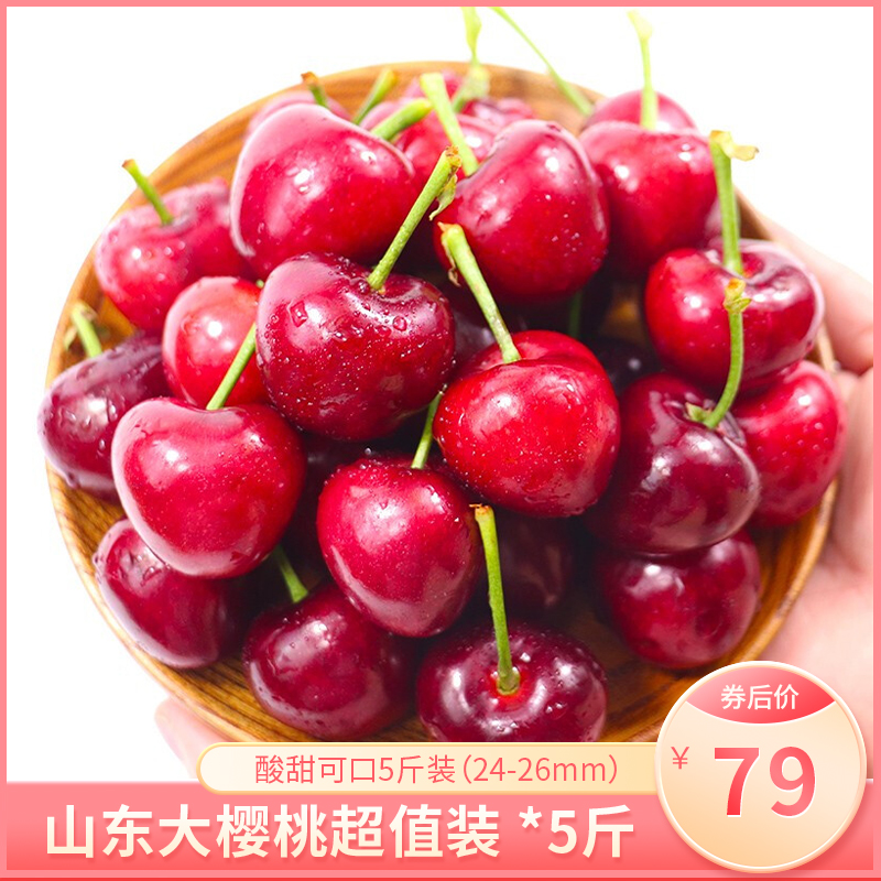 【顺丰/预售】 山东正宗大樱桃5斤 大果（24-26mm）