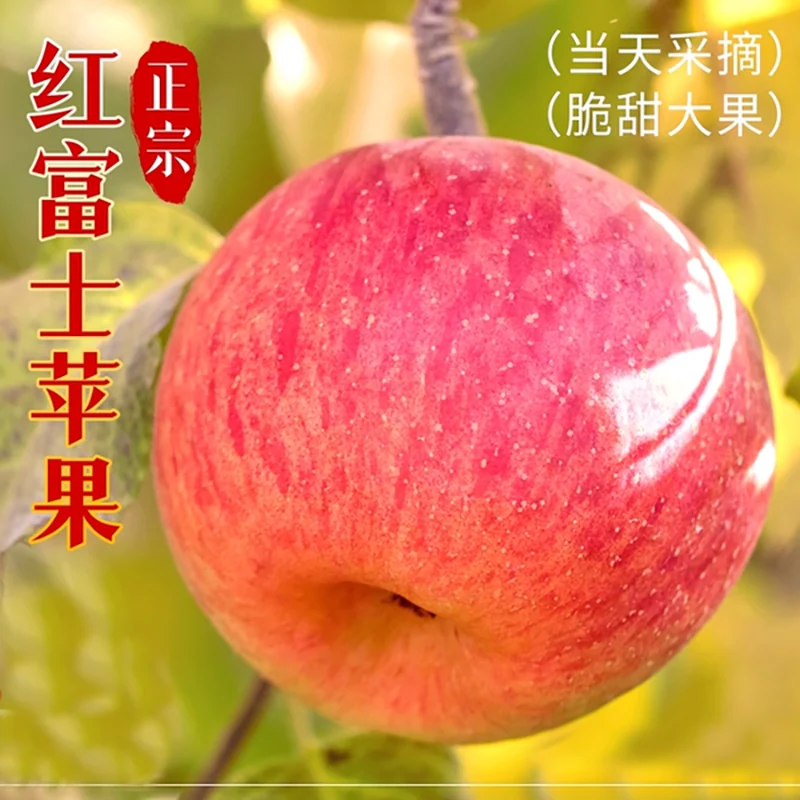 下拉到手14.19！山西冰糖心苹果4.5斤