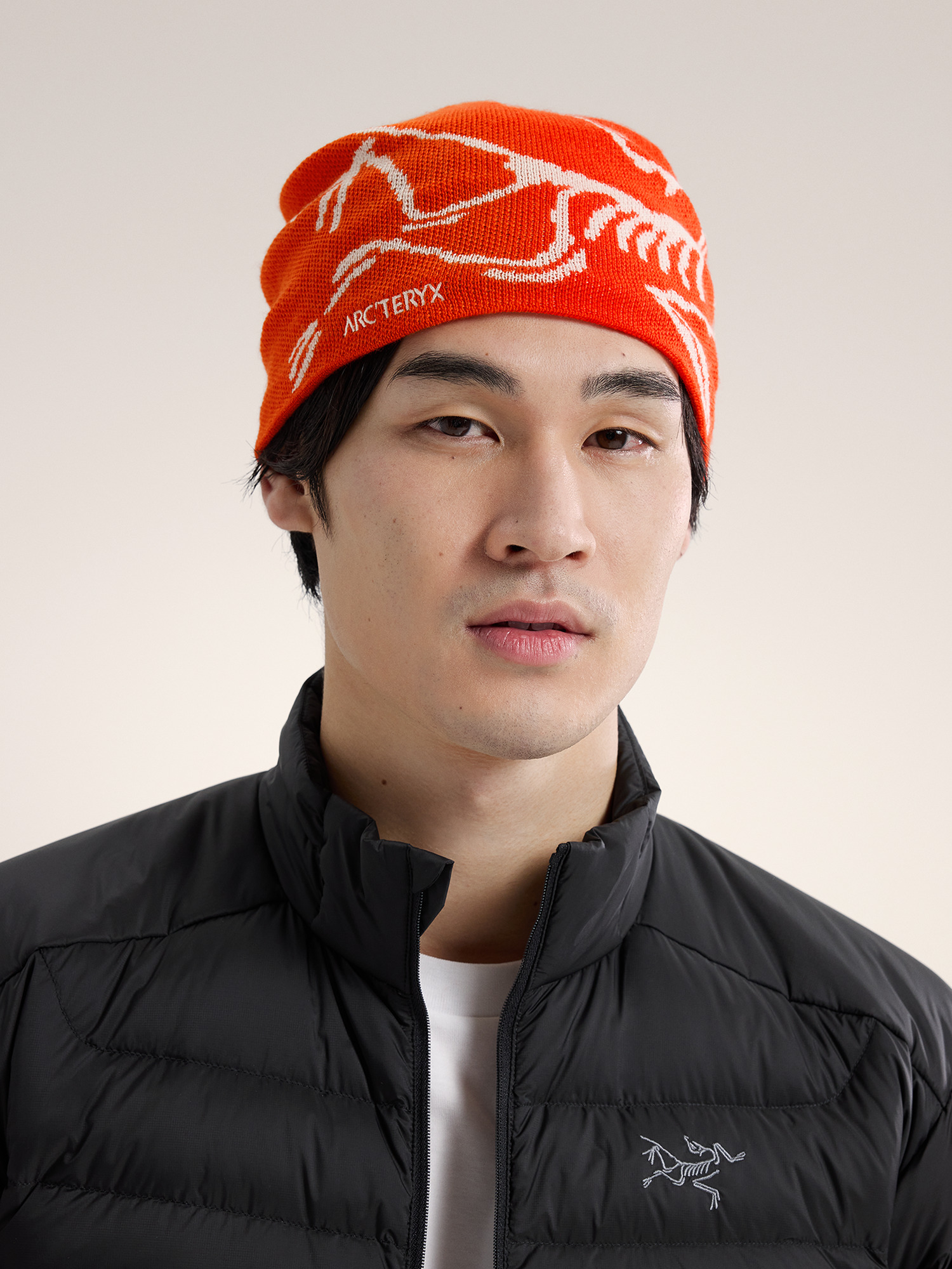 Arcteryx Bird Head Toque