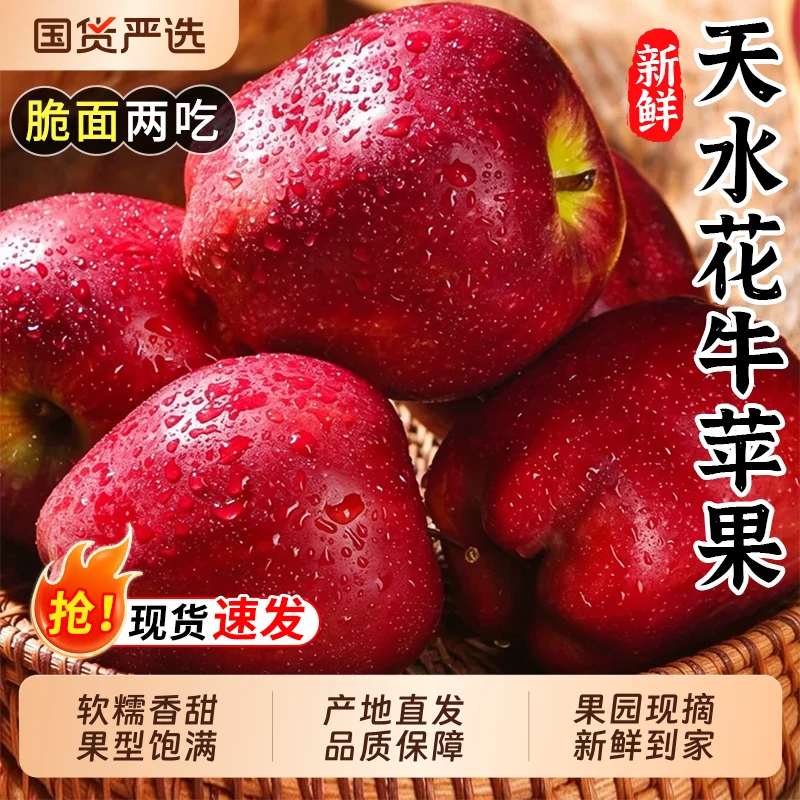 正宗甘肃天水花牛苹果新鲜水果现摘粉面红蛇果平果应当季包邮整箱