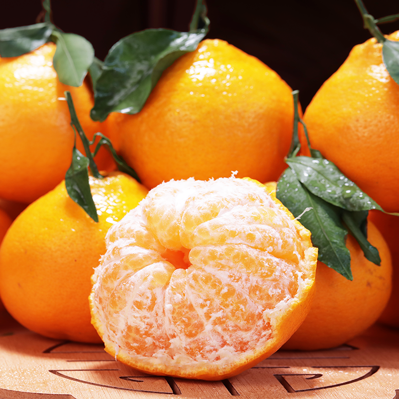 【春见耙耙柑】礼盒装5斤独立包装丑橘