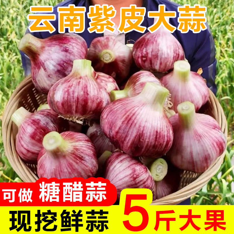 2022现挖 云南紫皮 湿大蒜 5斤装