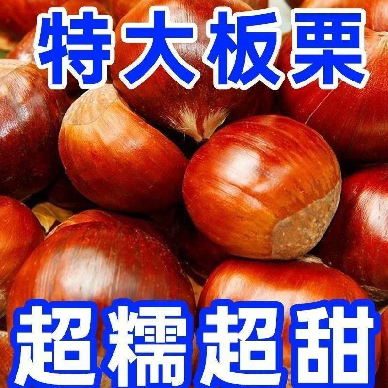 【新下树】5斤现摘丹东板栗