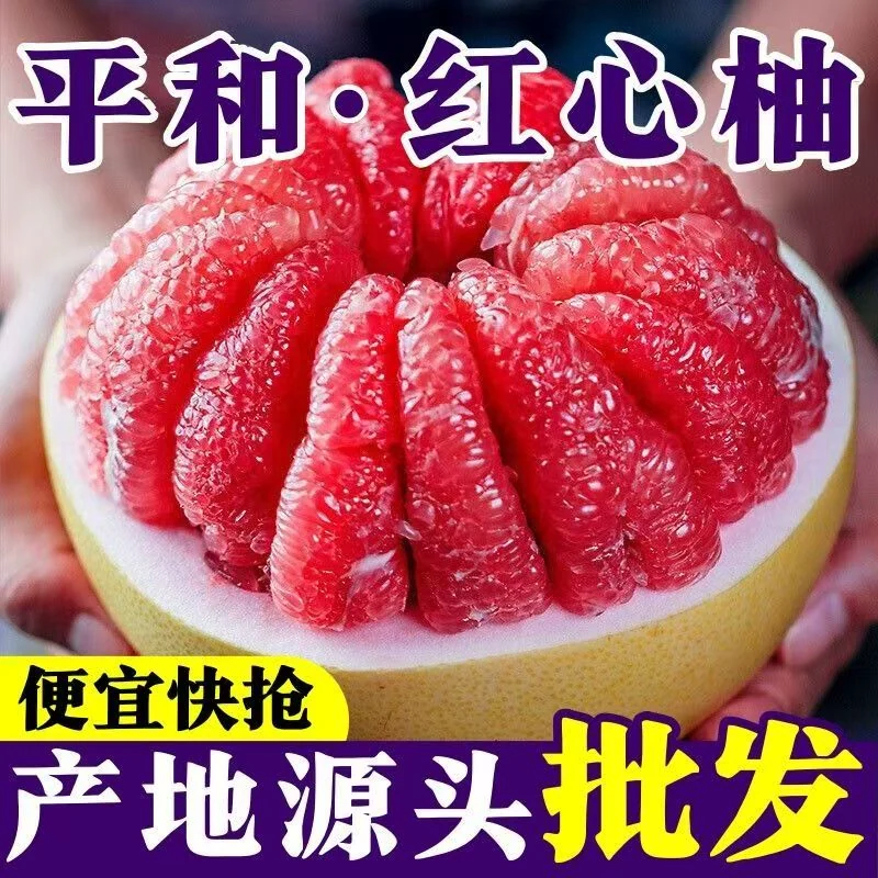 5~6斤！正宗福建.平和溪红心蜜柚