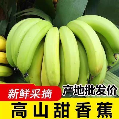 PDD热销产品汇总08点档更新2025/06/06