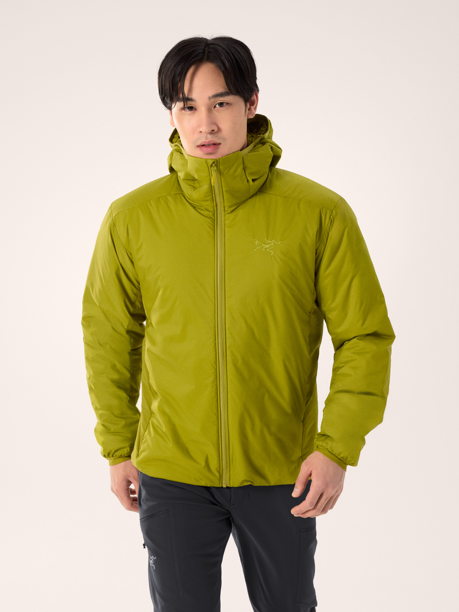 Arcteryx Atom SV Hoody Men's
