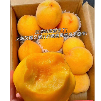 20.9元包邮！山东蒙阴大黄桃5.3斤精品大果（好凭商家返2元）