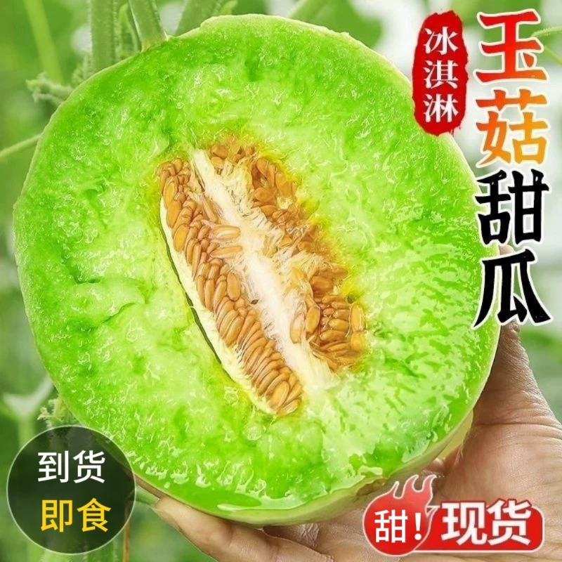 正宗玉菇甜瓜新鲜瓜4.5斤