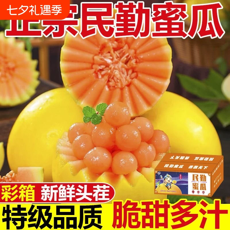 民勤蜜瓜8.5斤
