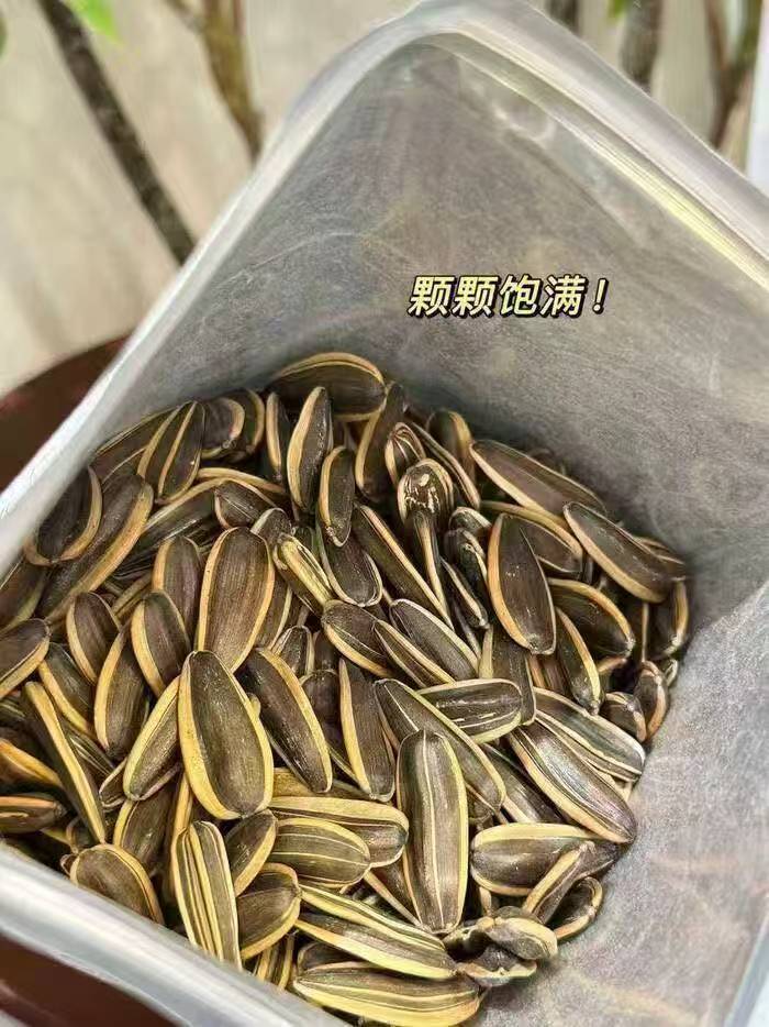 0_2