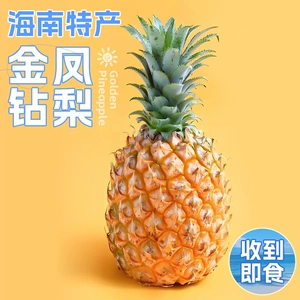 海南金钻凤梨新鲜水果当季粉色风梨手撕香水菠萝特产大果无眼整箱