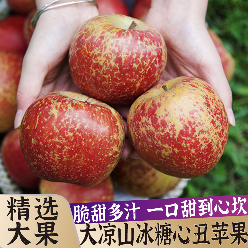 J东热销产品汇总14点档更新2023/11/04