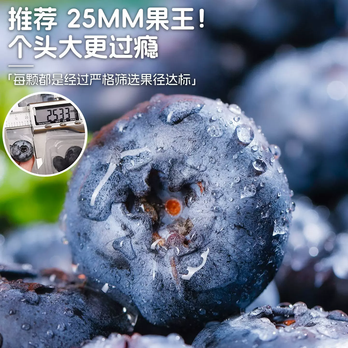 【顺丰包邮】云南高山花香蓝莓l25*6盒