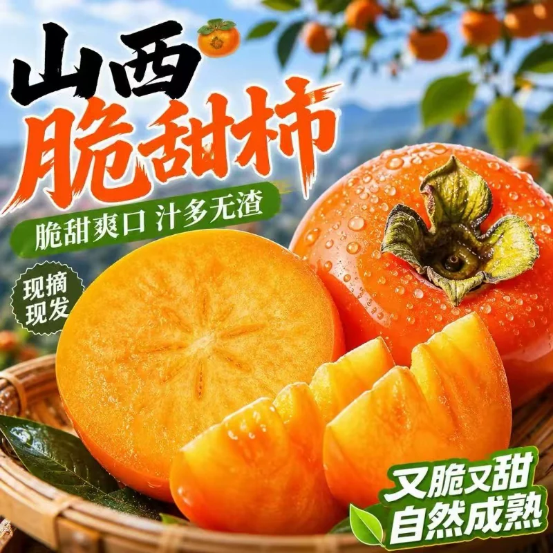 山西正宗阳丰巧克力脆柿新鲜采摘甜脆可口水果精品柿子产地直达