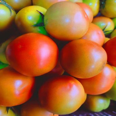 PDD热销产品汇总08点档更新2025/12/19