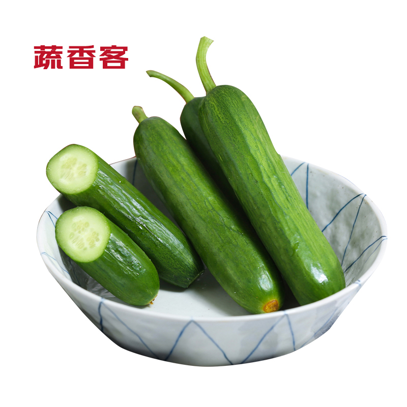 【自营包邮】蔬香客 水果黄瓜  5斤装