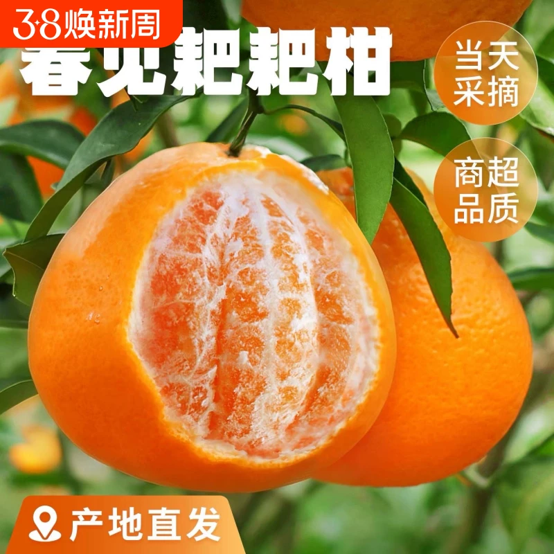 【新货】四川正宗春见耙耙柑净重4.5斤