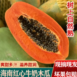 13.8元包邮！海南树上熟红心木瓜 5斤（好评商家返1元）