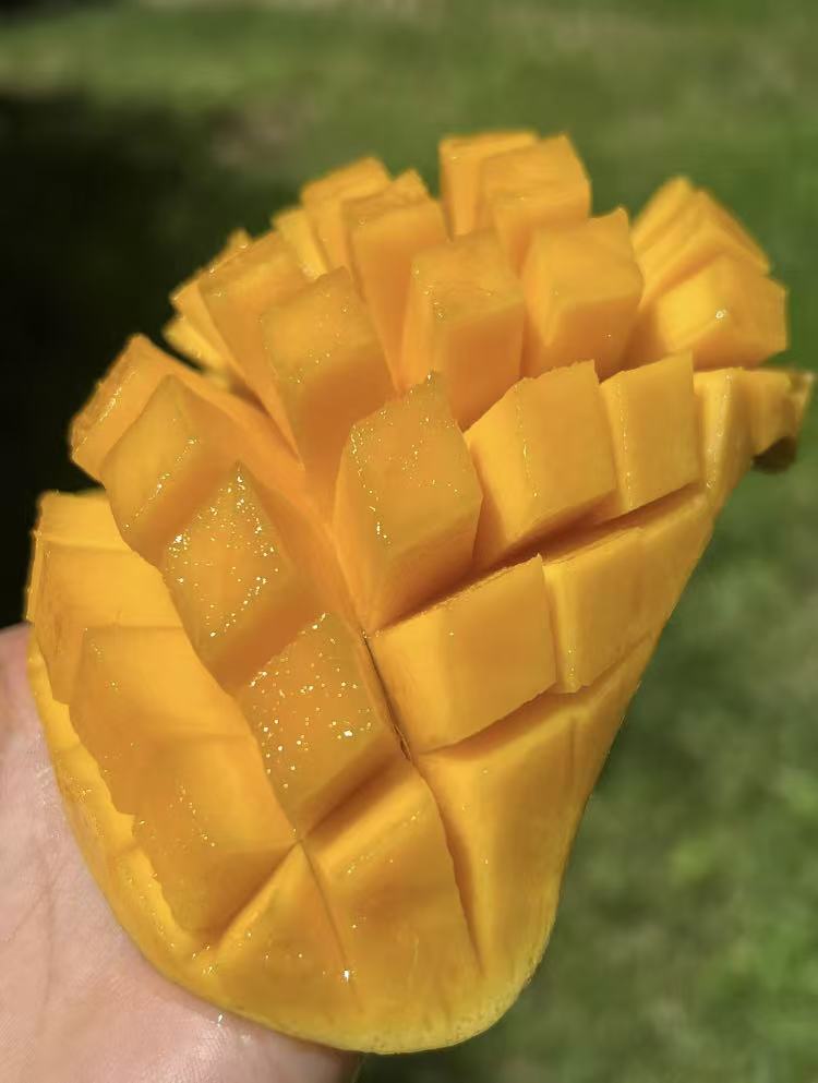 0_5