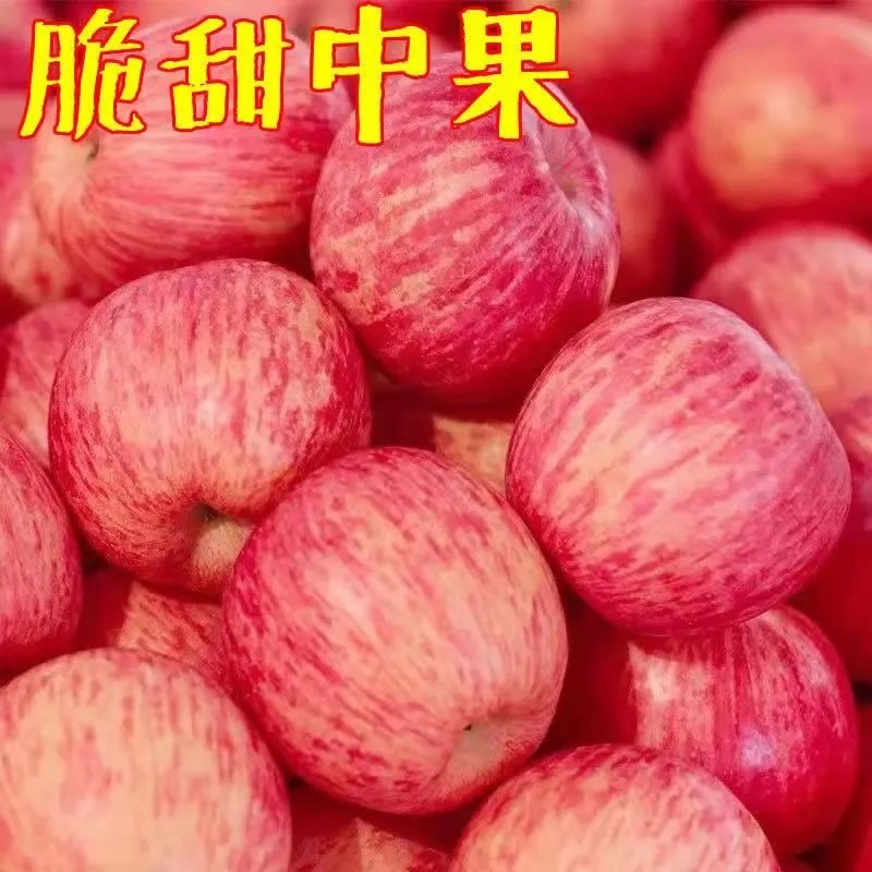 10斤  正宗红富士苹果脆甜