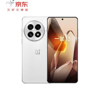 京东 一加13 晒单返100元京豆