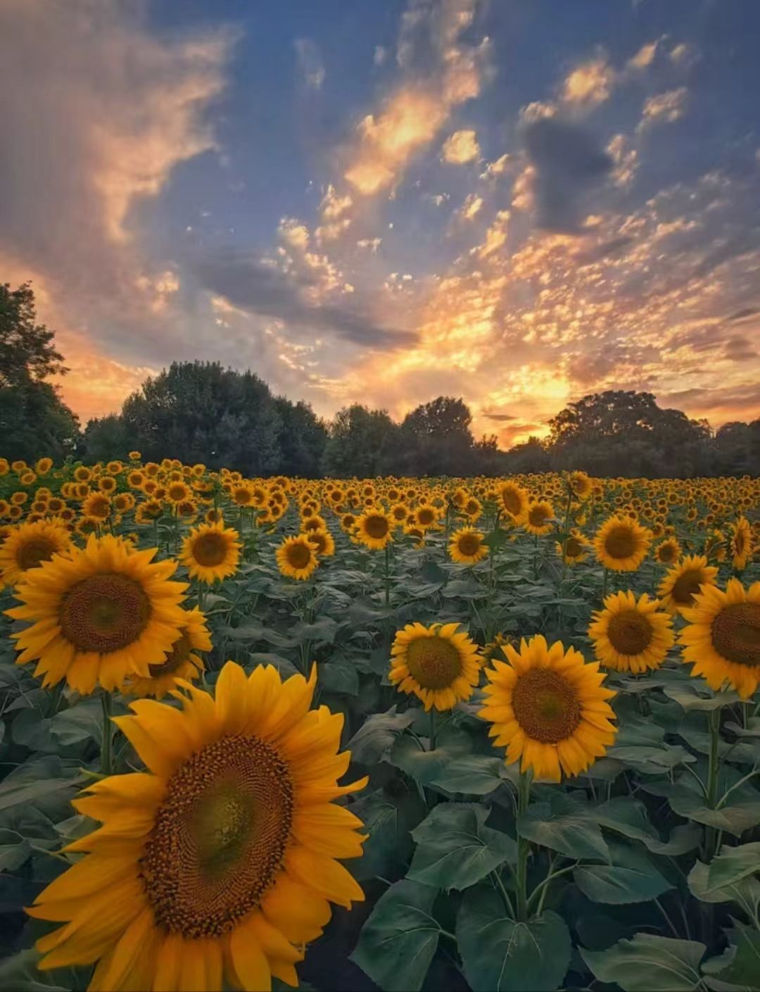 0_4