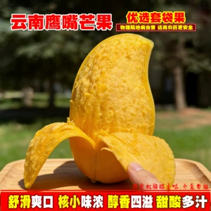 云南鹰嘴芒黄皮芒果套袋甜心新鲜热带水果套袋生态果3-8斤包邮