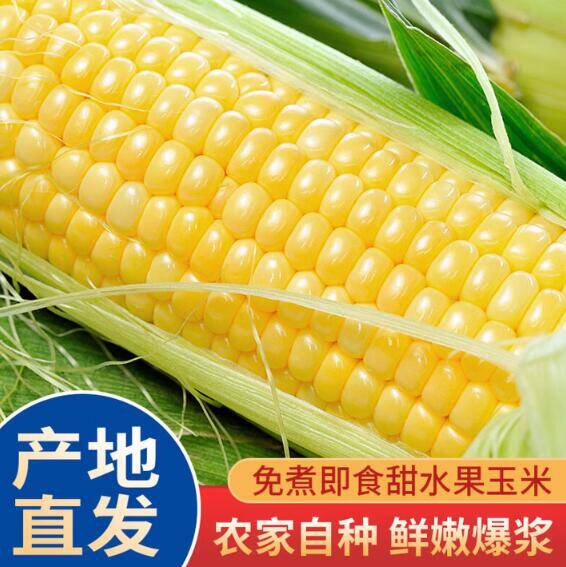 云南新鲜甜玉米 7.9元/5斤