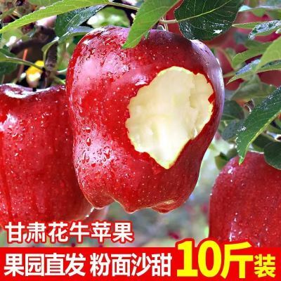 PDD热销产品汇总08点档更新2024/10/07