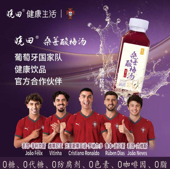 晓田酸梅汤饮料365ml*16瓶装 夏日清凉必备 到手价24.9元