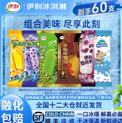 61.9元包邮！伊利 冰淇淋家庭超值组合装60支