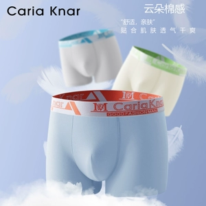 CariaKnar新款男士无痕内裤透气蜂窝裆布四角短裤大码男生平角裤