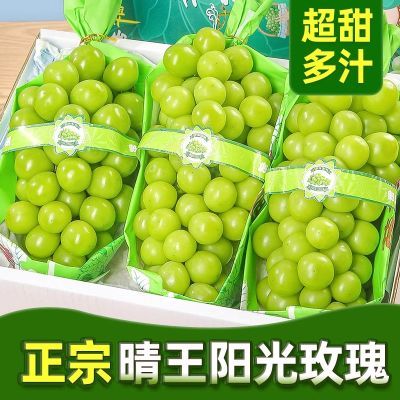 PDD热销产品汇总20点档更新2024/09/06