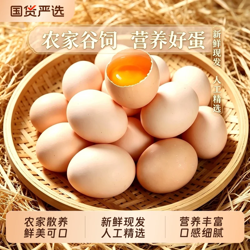 农家土鸡蛋新鲜蛋现捡现发柴鸡蛋笨鸡蛋营养高蛋白鸡蛋月子蛋批发