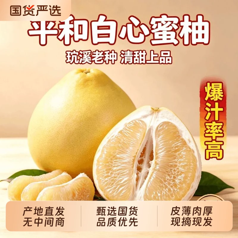 5~6斤！正宗福建.平和琯溪白心蜜柚