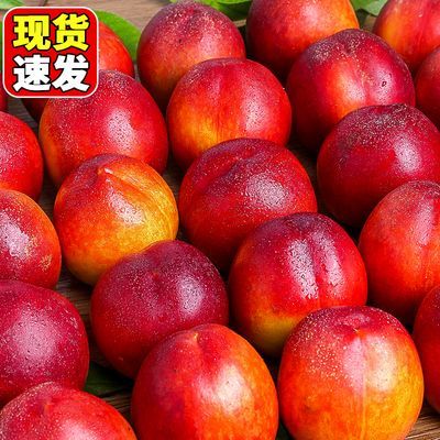 PDD热销产品汇总08点档更新2024/05/10