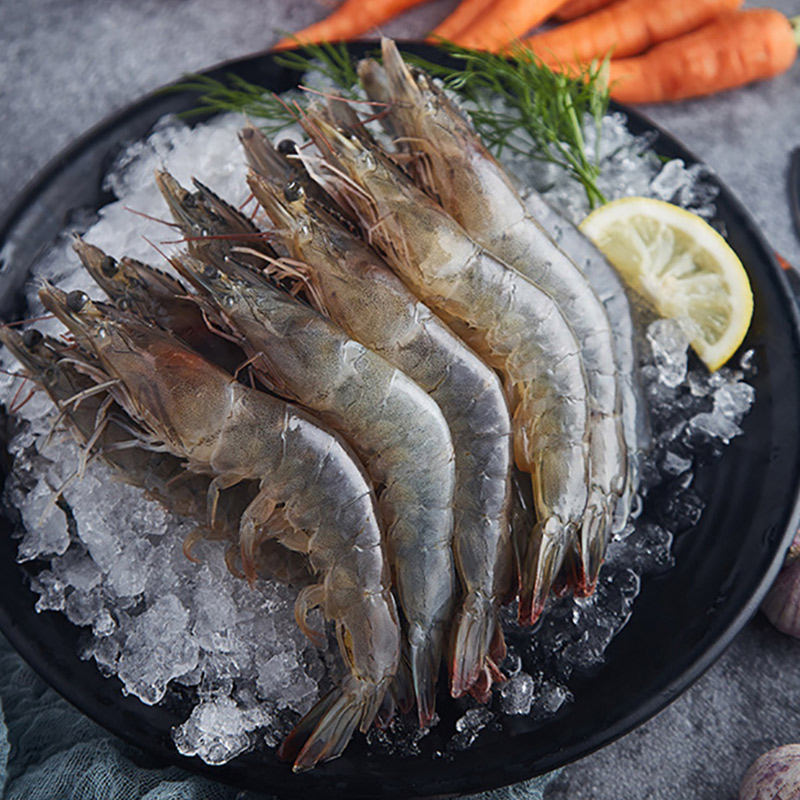大黄鲜森新鲜大虾鲜活超大厄瓜多尔特大白虾