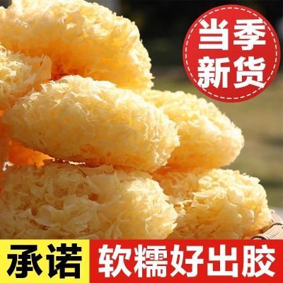 PDD热销产品汇总20点档更新2026/03/24