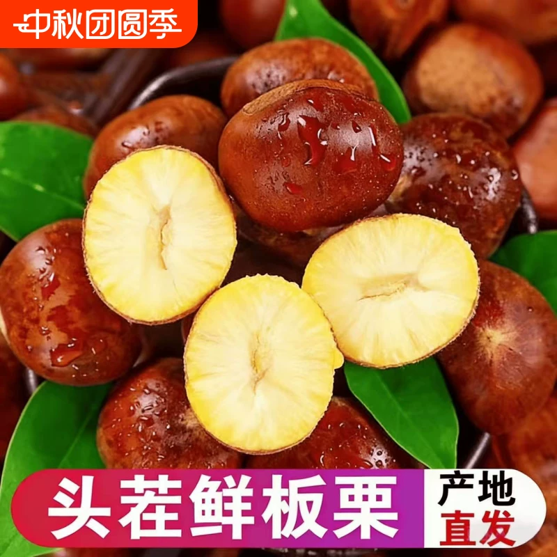 新下树新鲜5斤丹东板栗