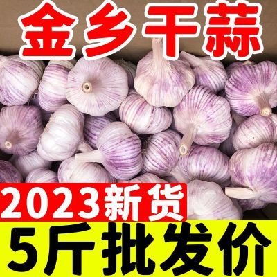 PDD热销产品汇总20点档更新2023/09/15