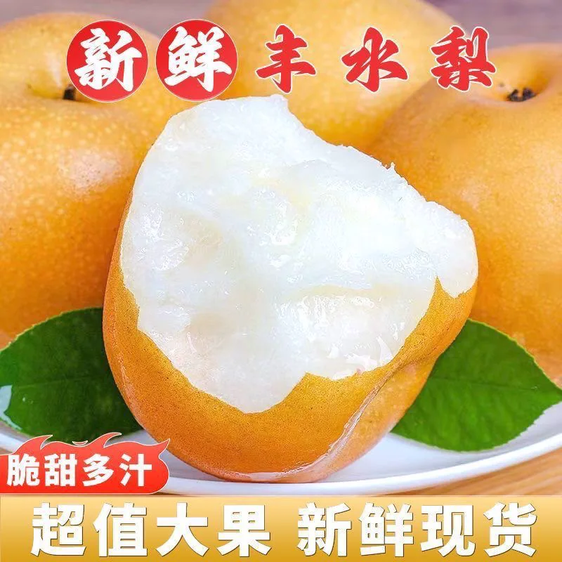 丰水梨4.5斤约12-15果